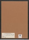 Navicula glacialis Grun. (de-Toni-Nr.: Genus 1, Species 479) Zeichnungen Sammlung Grunow Mappe 00424 (Herbarium_W_Grunow_drawings_Folder_00424)
